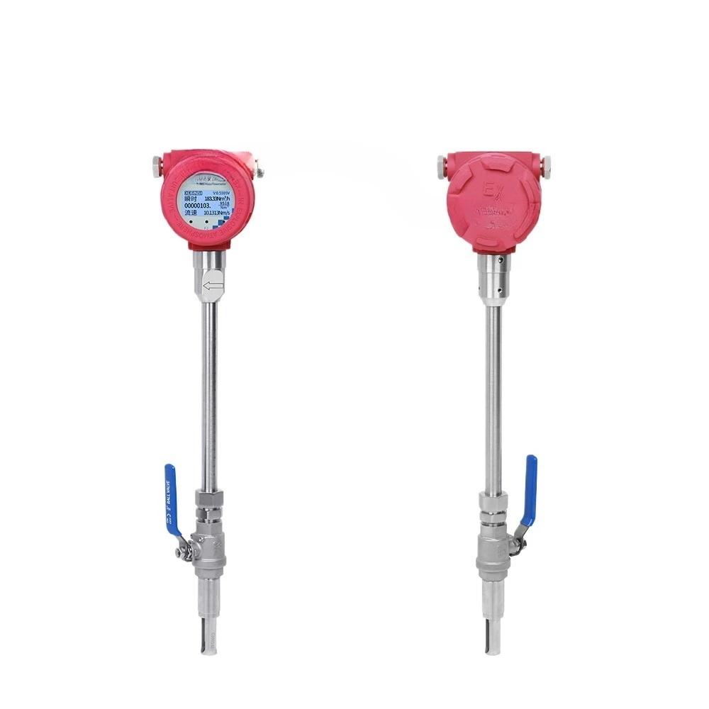 

Measurement and control thermal gas mass flow meter, plug-in pipeline type