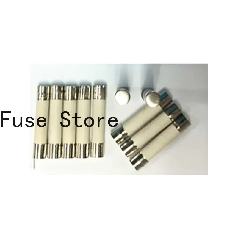 10PCS Ceramic Explosion-proof Pin Fuse Slow-breaking 6*30mm 250V 150mA 200mA 250mA