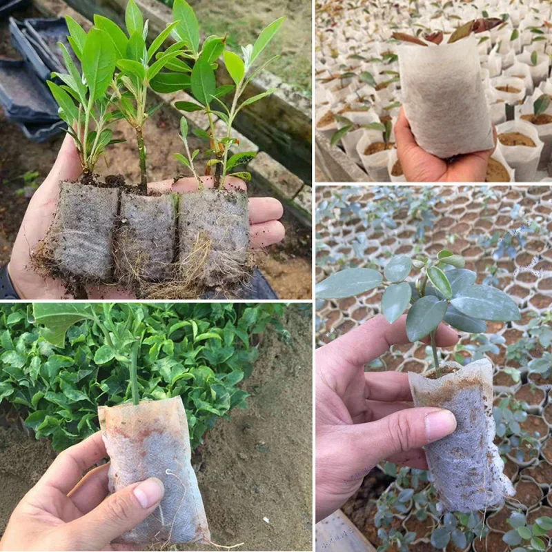 100Pcs Biodegradable Nonwoven Fabric Nursery Plant Grow Bags Seeds Germination Cultivate Growing Pots Garden Seedling Bag