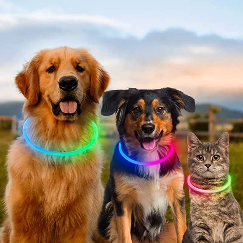 USB Charging Necklace Led Luminous Dog Collar Light , Flashing DIY Glowing Safety Anti Lost Cat Dogs Collar Accessories Supplies