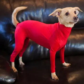 Oblečení pro psy, pyžamo pro psy střední velikosti, uklidňující tričko s úzkostí na 4 nohy, psí overal, zabraňuje vypadávání srsti, rekonvalescence po operaci 10 nejlepší prodej pyžama pro velké psy - №9