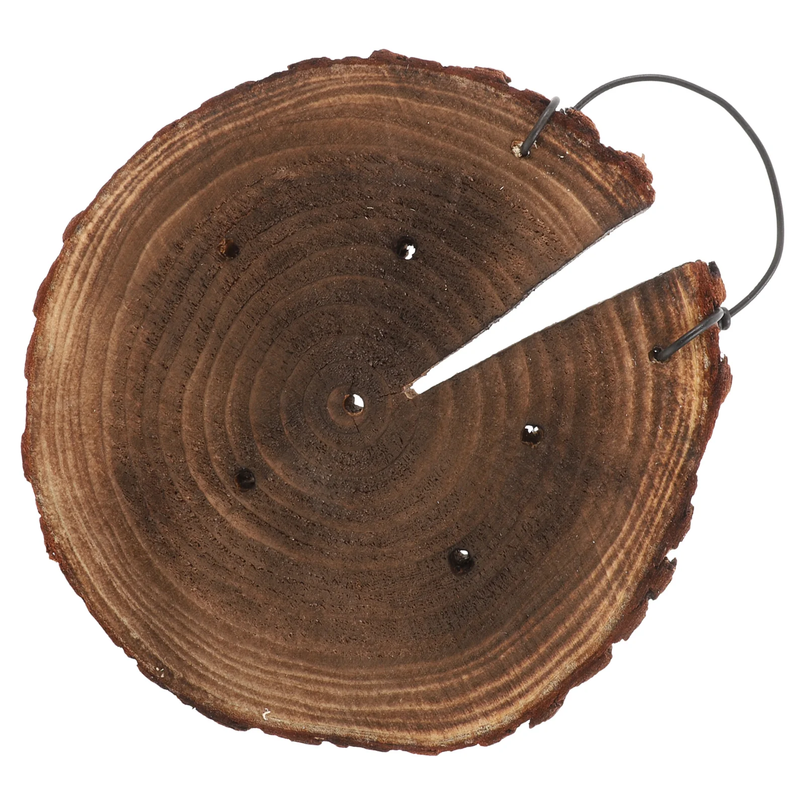 

Hanging Board Staghorn Fern Plant Stands Indoor Chinese Fir Wall Planters for Plants