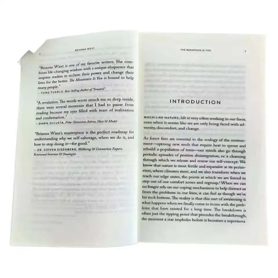 The Mountain Is You: Transforming Self-Sabotage Into Self-mastery English Books