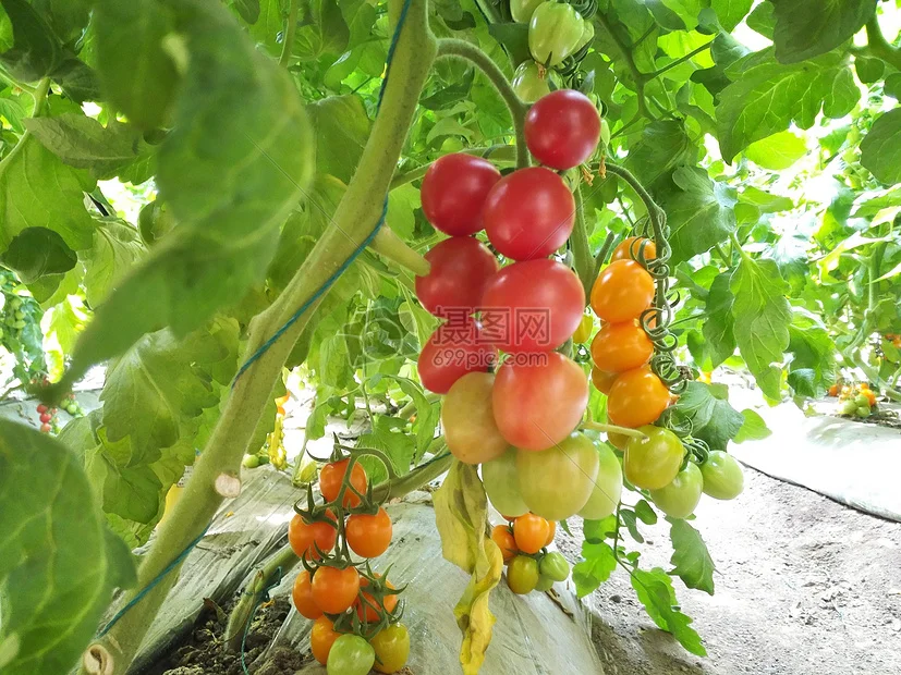 

1/10 RC Racing Wheels Tires Metal Wheel Rims Hub12mm Hex for 1:10 RC On Road Car Tamiya Kyosho TT01 TT02 XV01PTG-2 HSP HPI