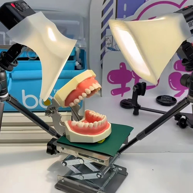 Oral Dentistry Aesthetic Restoration Orthodontic Tooth Model Teaching Shooting Double-headed Flash Soft Light Diffusers Cover