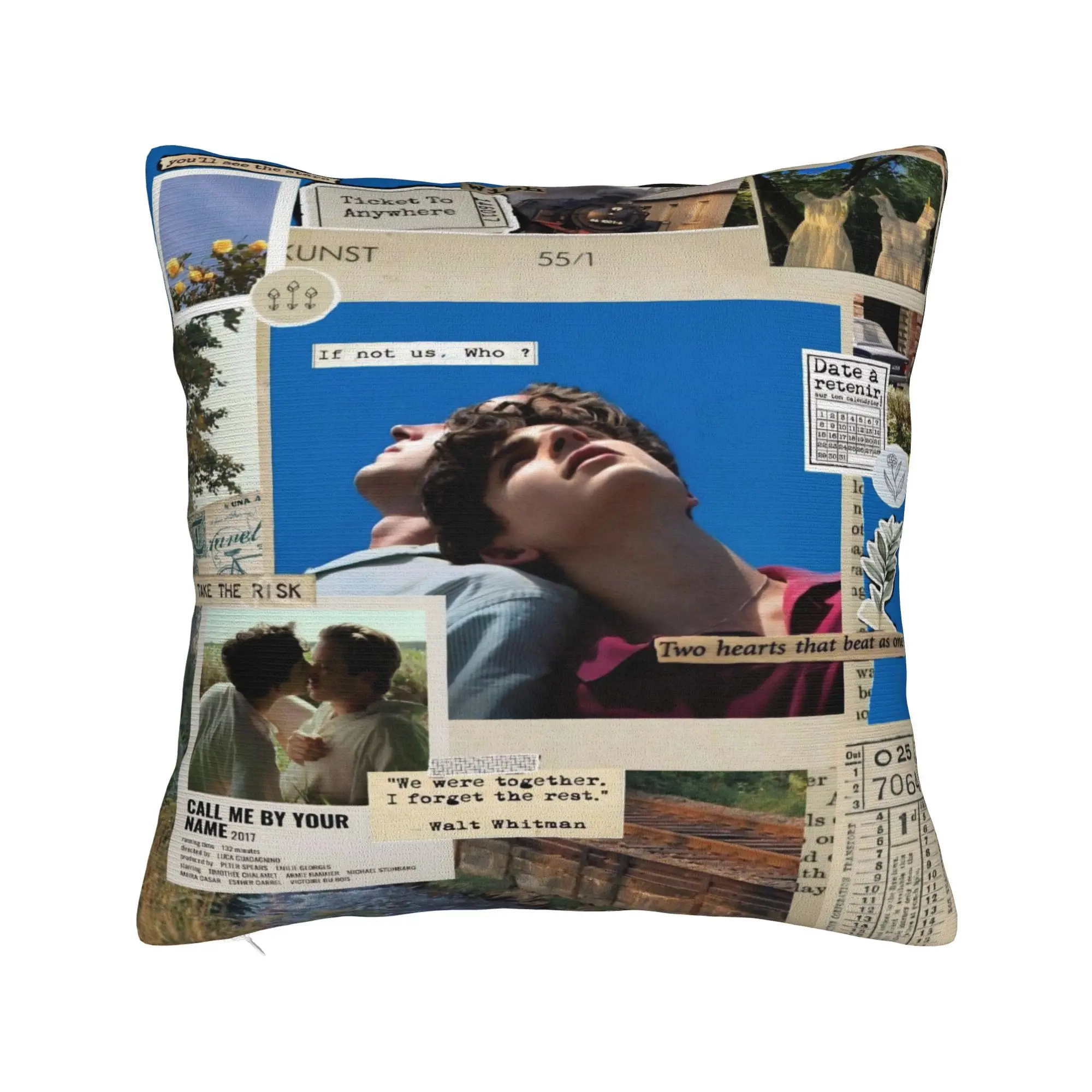 Call Me by Your Name Pillowcase Merch Printing Cushion Cover  Pillow Covers Seat Decoration Zipper Multiple Sizes