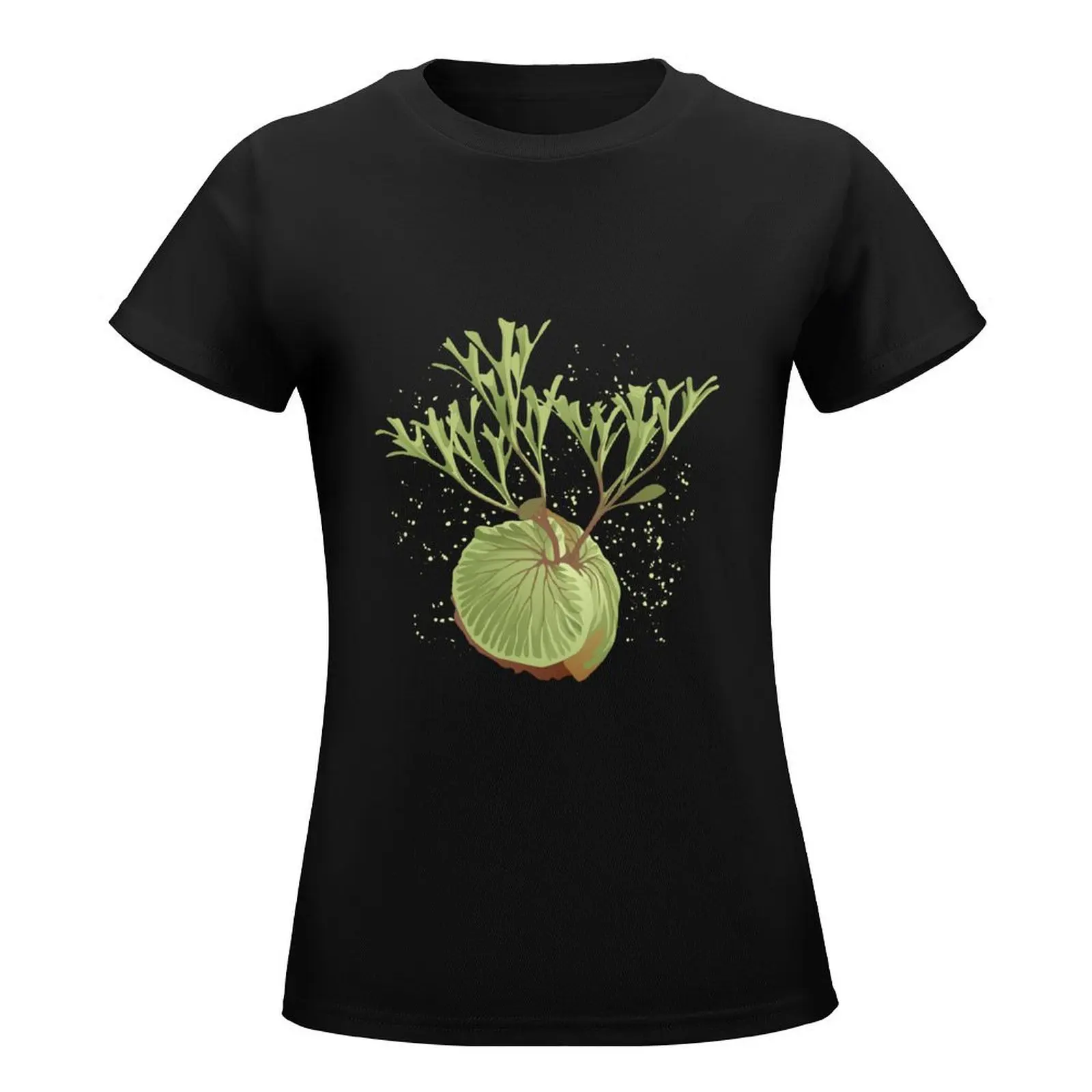 staghorn fern illustration - platycerium ridleyi T-Shirt cute tops Blouse graphic t-shirts for Women