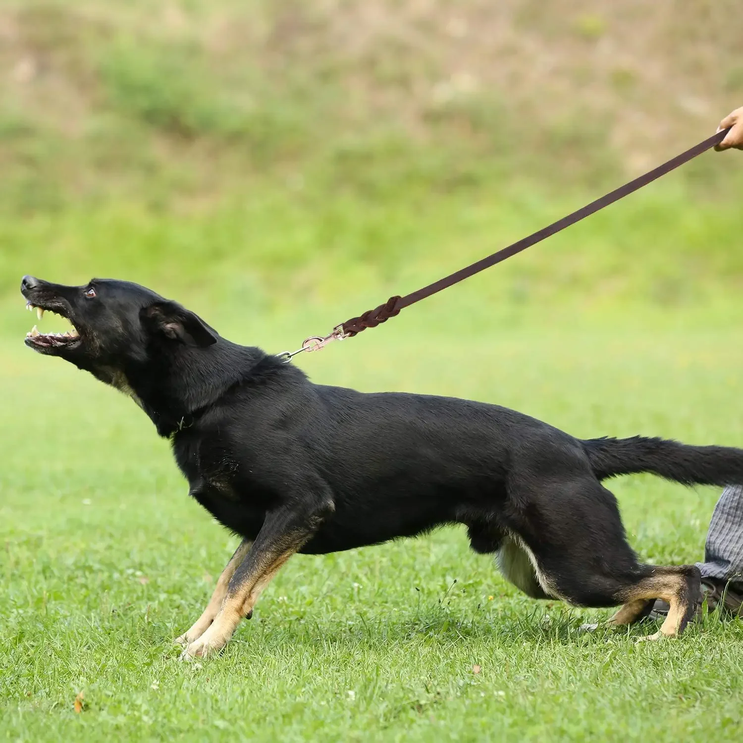 Hundeleine aus echtem Leder, lange Leinen für Hunde, geflochtenes Haustier-Walking-Training führt braun-schwarze Farben für mittelgroße und große Haustiere – Detail 17