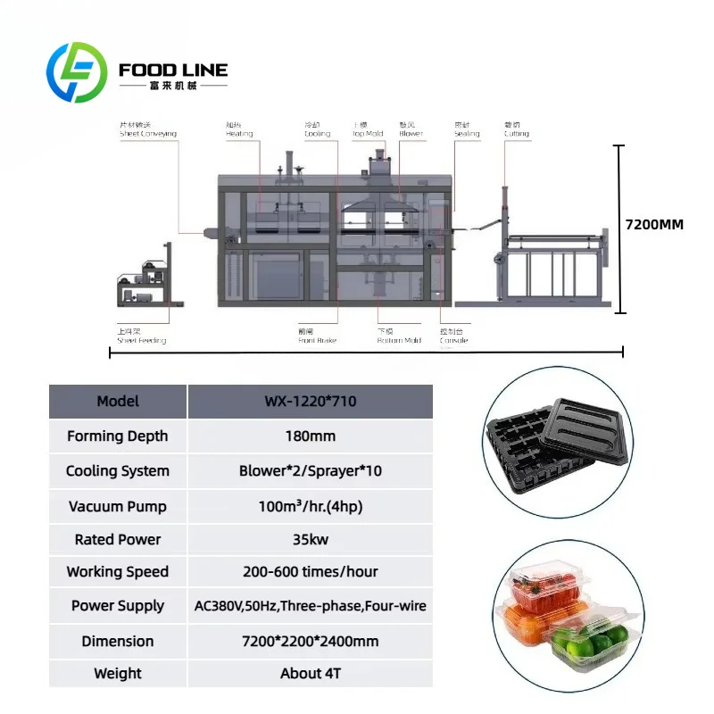 Customized One Time Plate Making Machine Plastic Food Box Tray Making Machine Fully Automatic Plastic Vacuum Forming Machine
