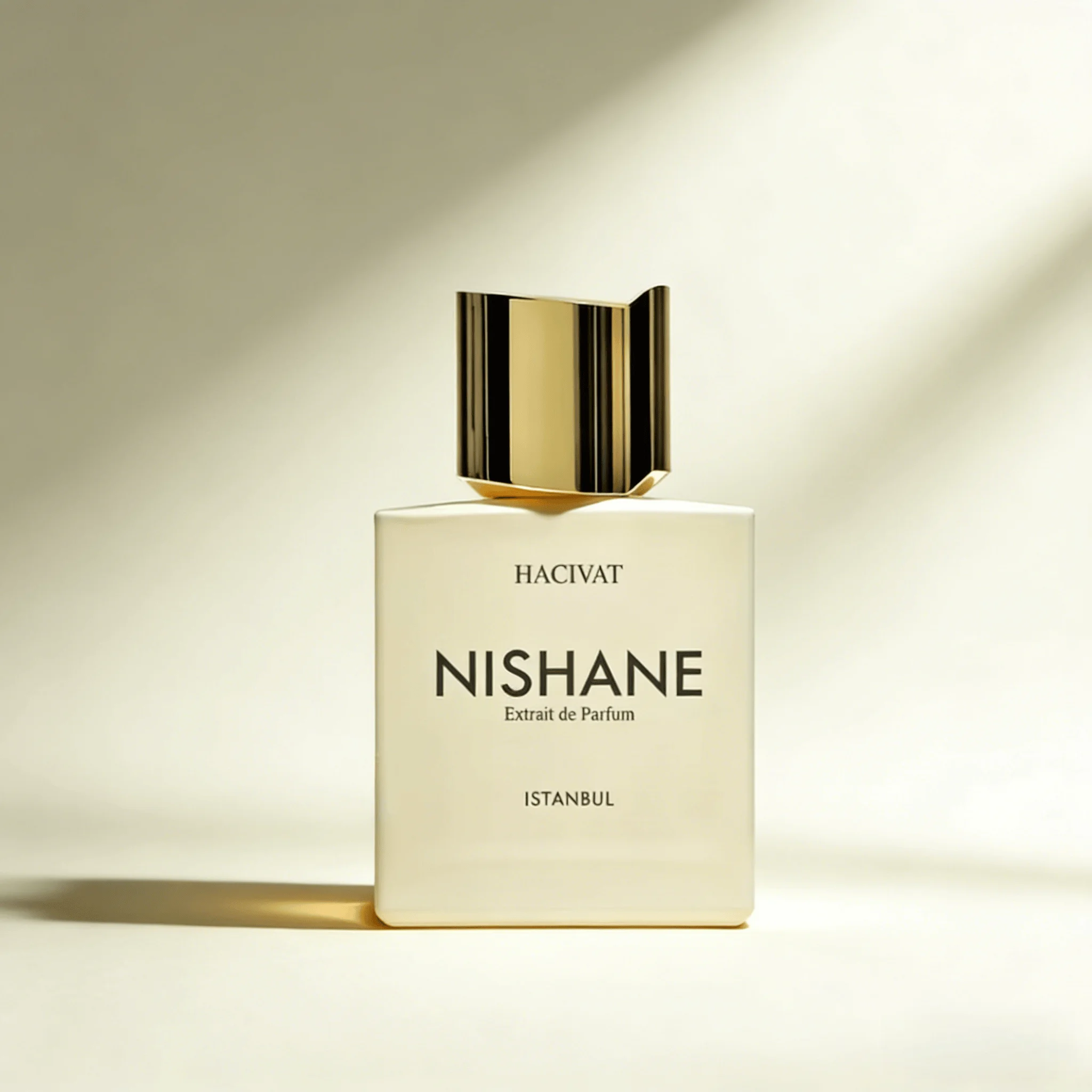 

High Quality Classic Nishane Hacivat Shadow Play Karagoz Perfume for Man 100ml High Quality Men Perfume Body Fragrance Spray