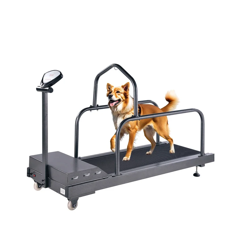 

Hot Sale Pet Electric Treadmill For Dog Sport Training Equipment Home Animal Walking Running Machine