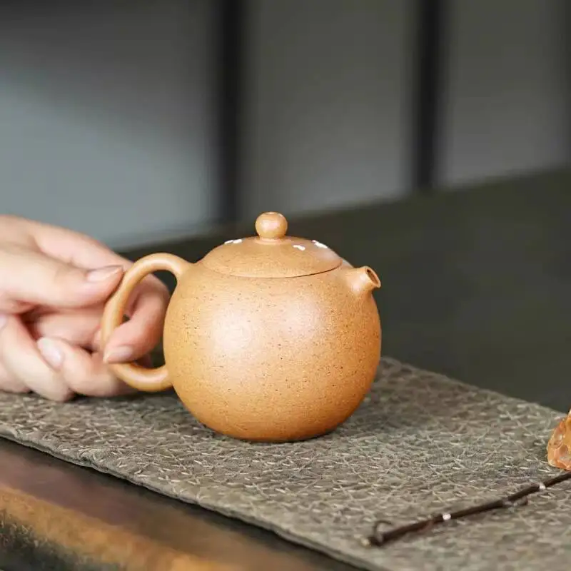 [Chang Tao] Yixing Original Mineral Purple Sand Chen Shanqing Handmade Teapot Slope Hand-Painted Xishi Pot 280Cc