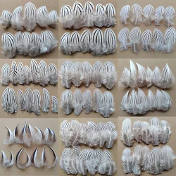 50Pcs/Lot!4-12cm Long Natural Plume, SILVER PHEASANT BODY PLUMAGE FEATHERS Natural White Black Fly/Fishing/Craft