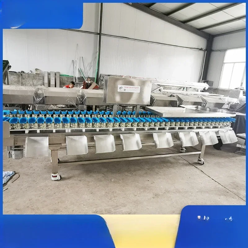 Sorteermachine voor kippenpoten wegen