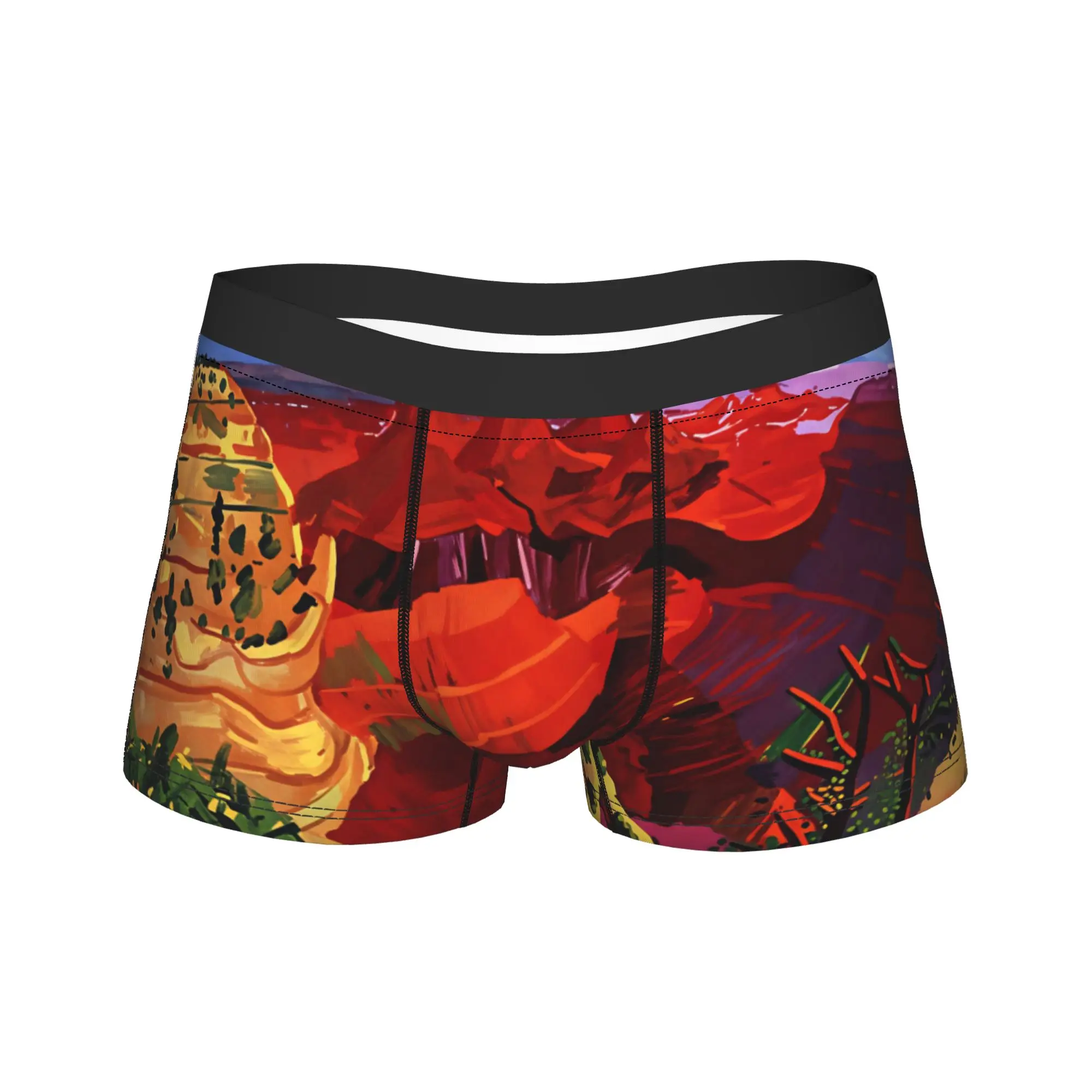 

tate britain Photographic Print Boxer Shorts Pouch Underwear Quality Printed Shorts Briefs Breathable Man Underpants Plus Size