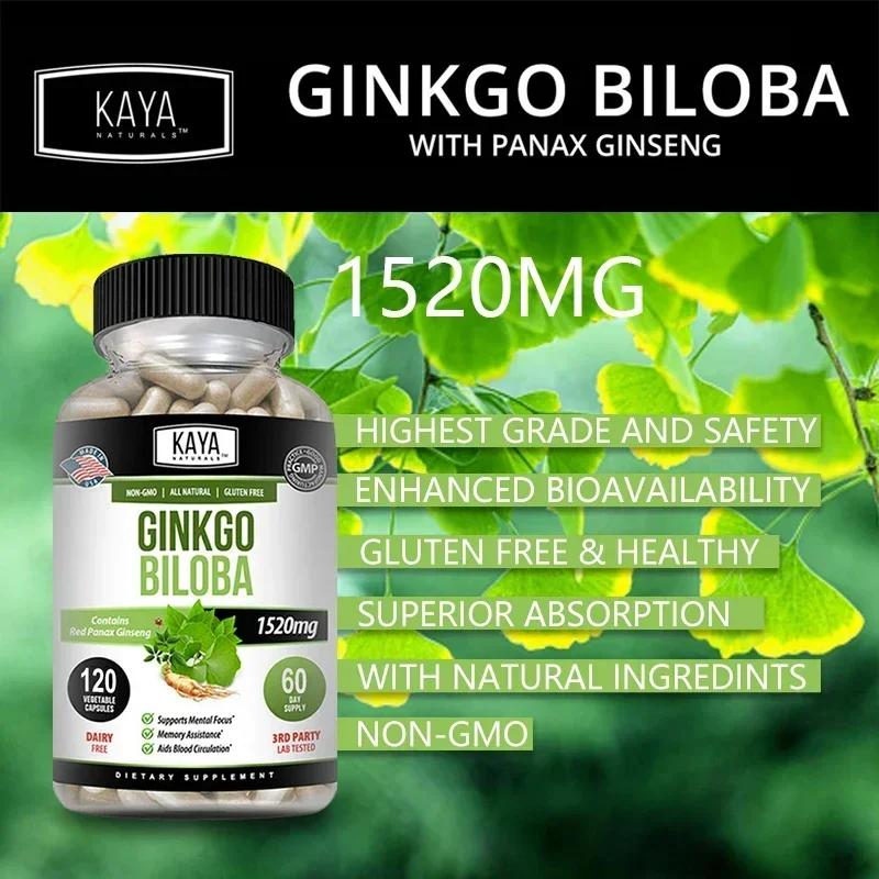 Ginkgo Biloba + Red Ginseng Extract Capsules – for Brain, Antioxidants, Blood Circulation, Mental Focus Memory Health Supplement