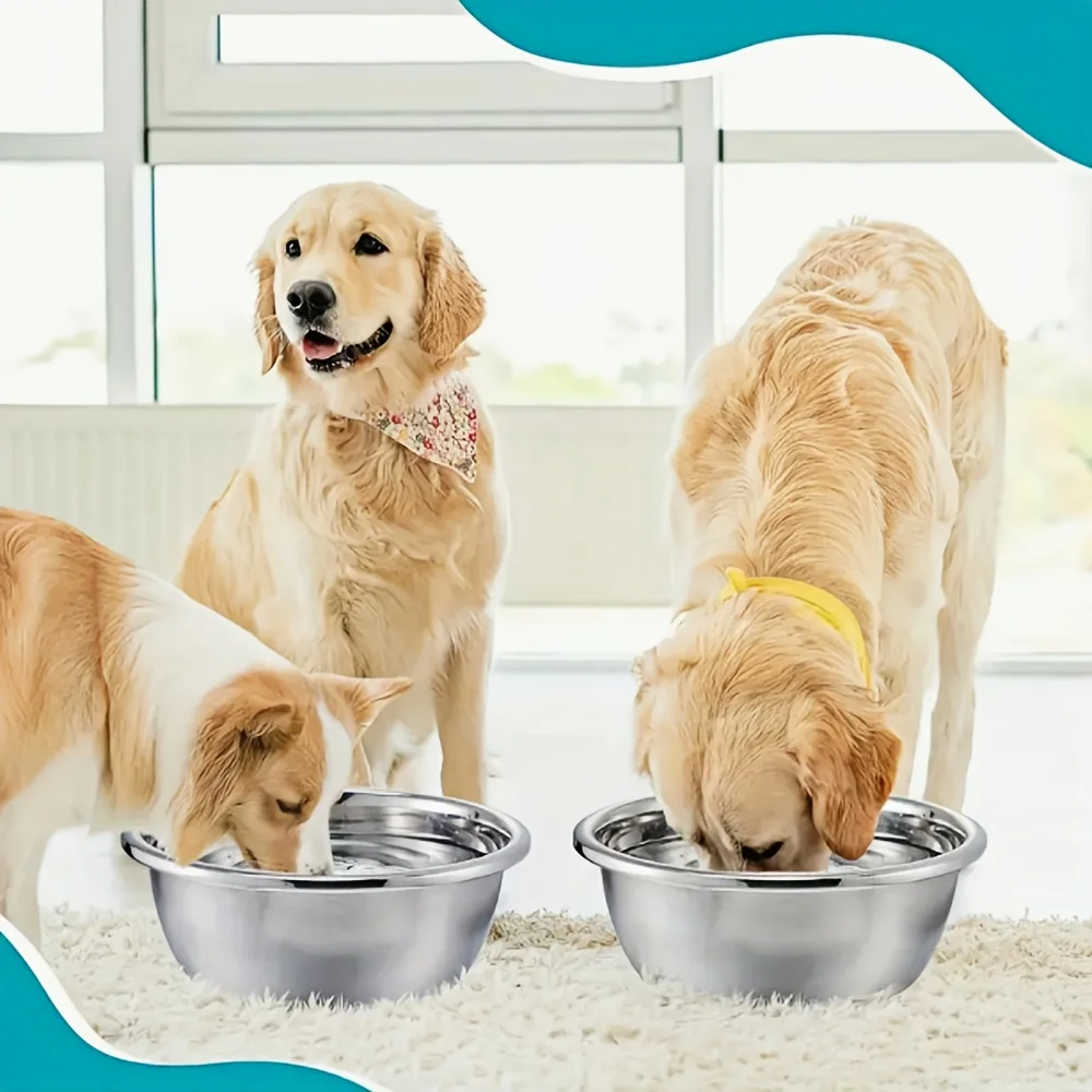 2-Pack Large Capaci…