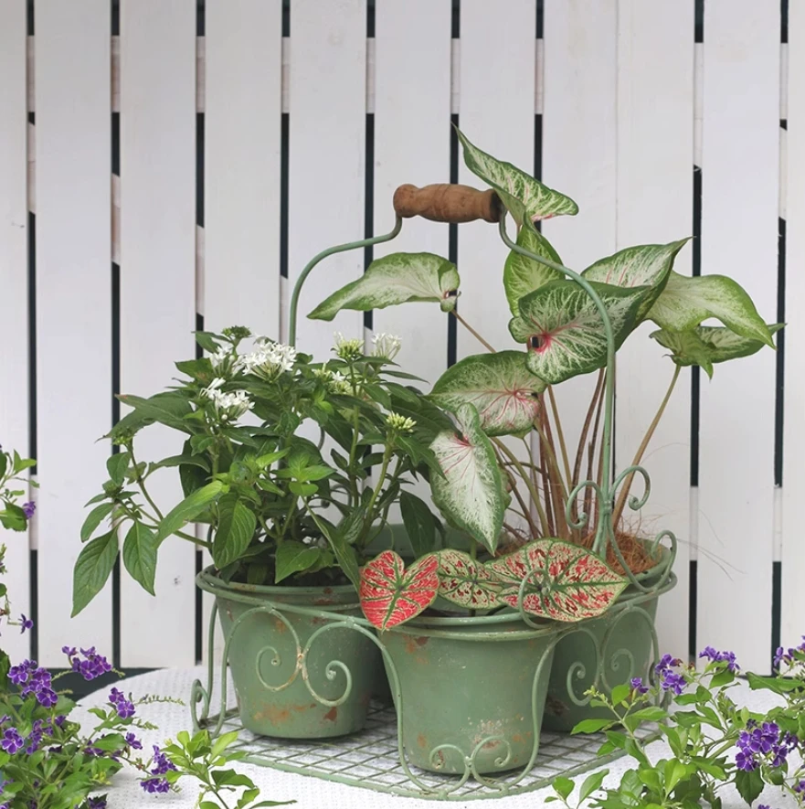 Rustic Green Handcrafted Farmhouse Metal Plant Pot Set, 4 Small Buckets Succulent Planter and Caddy Style Basket