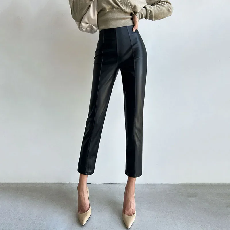 2024 여성용 하이 웨이스트 슬림핏 펜슬 팬츠, PU 가죽 스트레이트 레그, 따뜻한 플리스 안감 바지, 신상