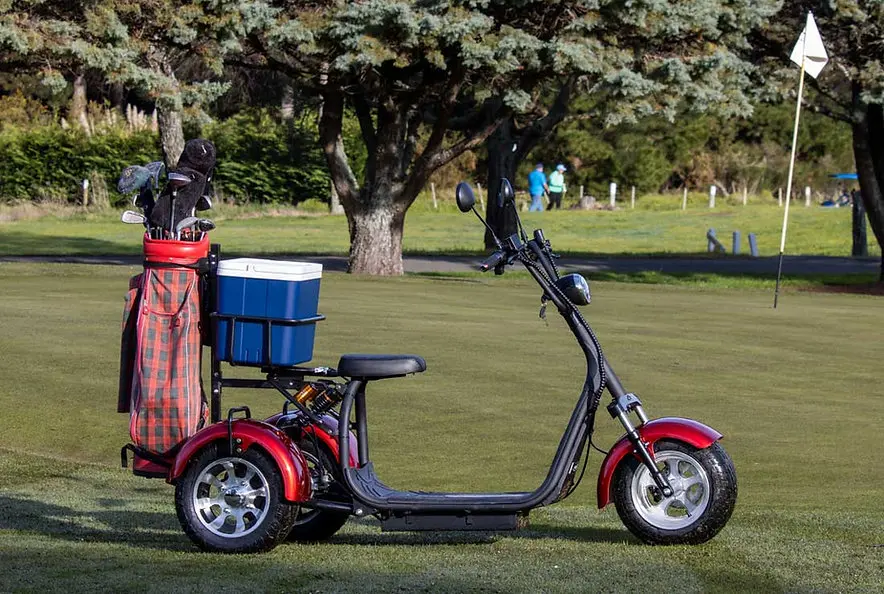 ZAIQU أستراليا سوق عربات جولف كهربائية عالية الجودة بمقعدين نماذج مختلفة متينة مع جهد بطارية 60 فولت #5