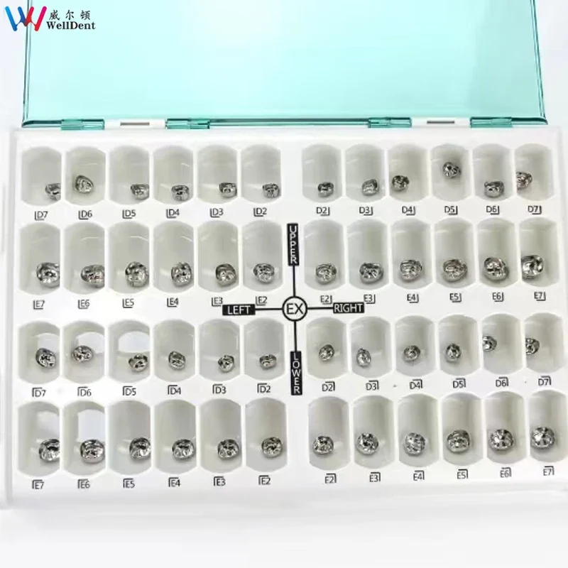 

Dental Kids Crown 48pcs Stainless Steel Primary Molar Crown Kit Dental Materials Instrument