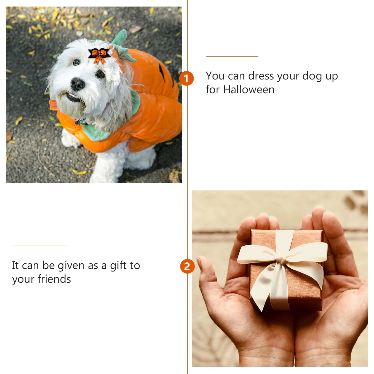 

10 Pcs Rubber Band Pet Headgear Bands Puppy Grooming Bows Cloth Halloween Headdress