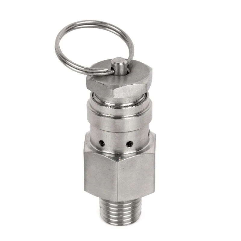 วาล์วระบายไอเสียสแตนเลสคุณภาพสูงขนาดเล็ก SS304 ขนาด 1/4\" 1/2\" เกลียว BSPT NPT แบบตัวผู้ ความดัน 1 บาร์ สำหรับปล่อยก๊าซ