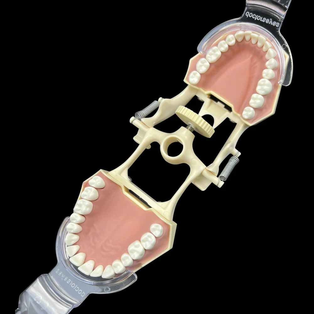 Ouvre-dents buccaux, 2 pièces, écarteurs buccaux, blanchiment des dents, extenseurs de lèvres supérieures et inférieures, outils dentaires orthodontiques