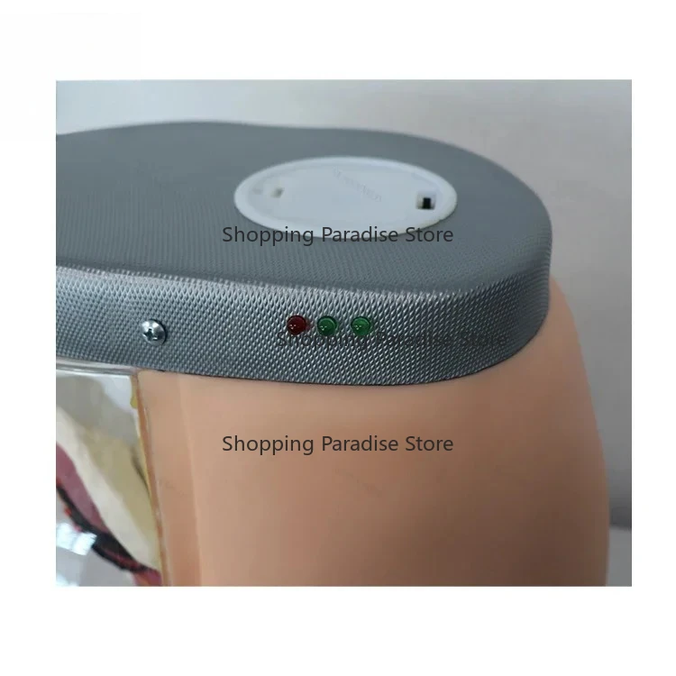 

SY-N08701 Intramuscular Contrastive Model Transparent Buttocks Educational Model