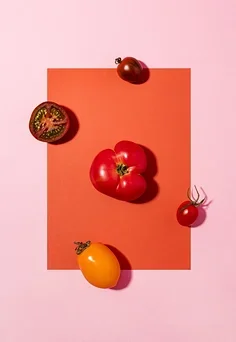 

Gearbox Gear for ZP1001 ZP1002 ZP1003 ZP1004 1/10 RC Car