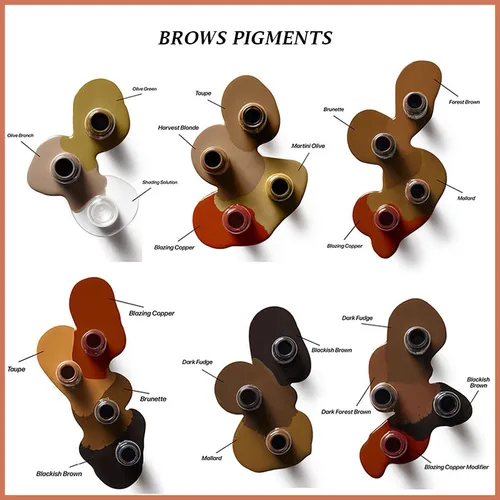 Imagen 2 del producto Pigmentos de maquillaje permanente Premium, tintas para tatuajes de cejas, Microblading, belleza profesional, arte corporal, mezcla permanente, tintas de plantas puras