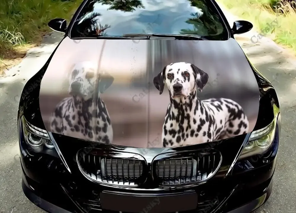 Animal -  Dalmatian Car Hood Vinyl Stickers Wrap Vinyl Film Engine Cover Decals Sticker Universal Car Hood Protective Film