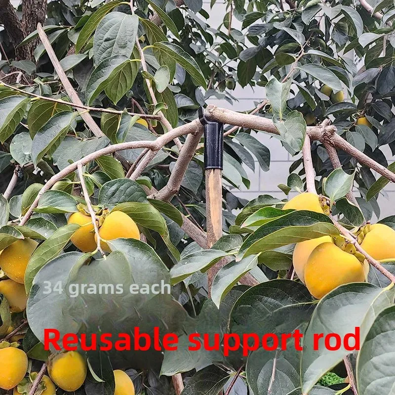 Fruit Fork Head Fork Head Plastic Ripe Glue Top Fruit Tree Connected To Wood Fork Farm Fruit Tree