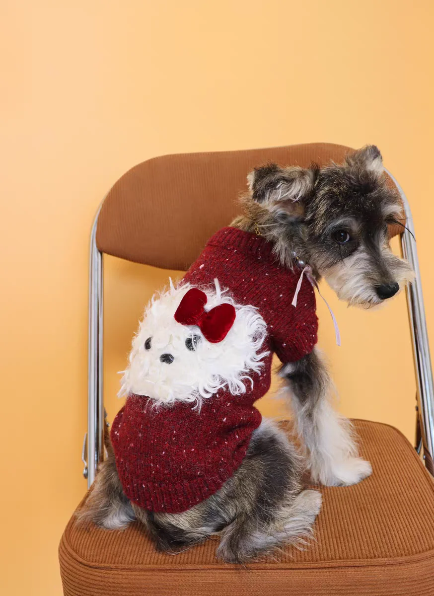 

Cute Ice Cream Teddy Bear Pet Hooded Sweater Mink Fur Jacket for Small Dogs Cats Puppy Warm Autumn Winter Clothes Dog Hoodie