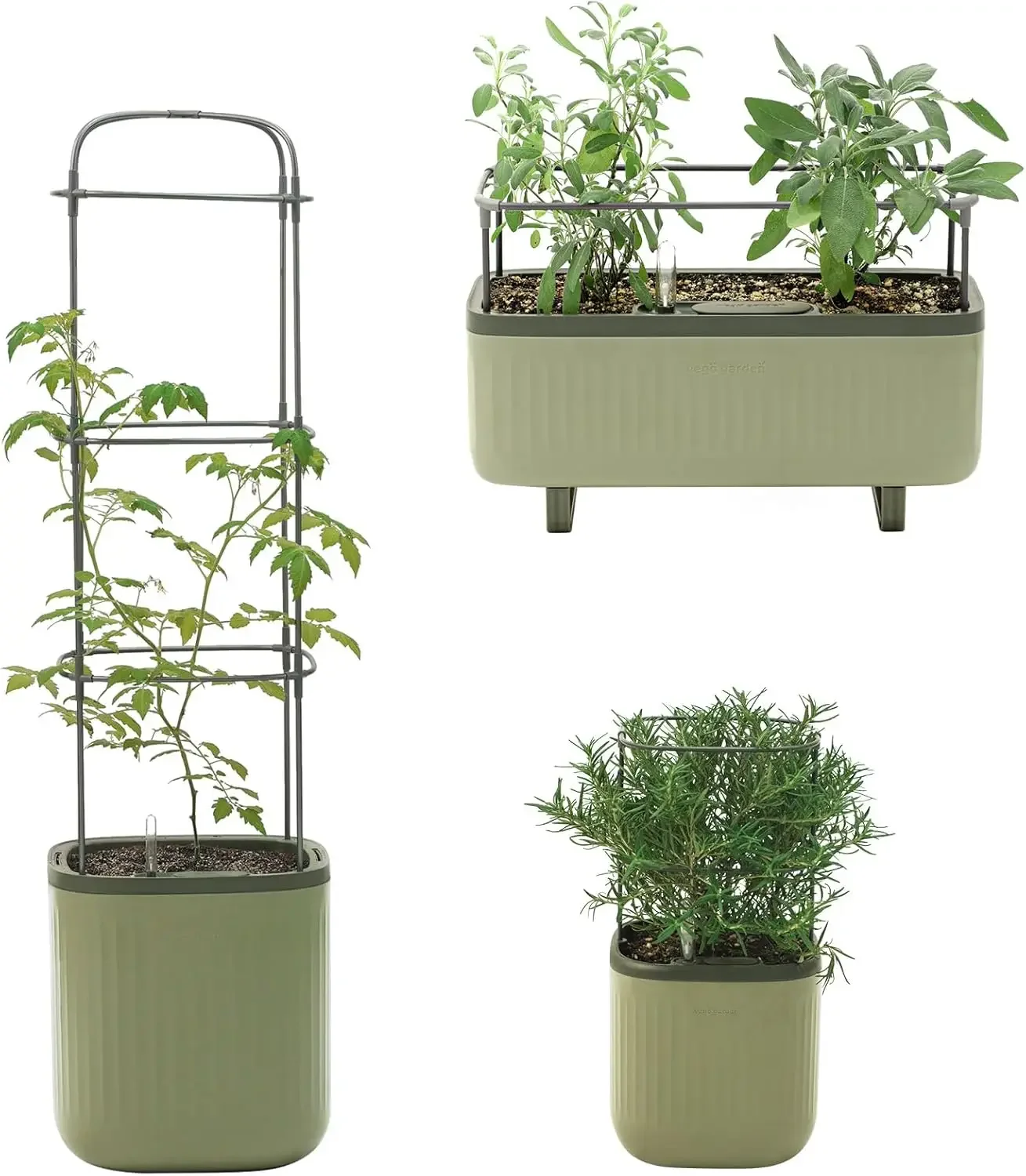 Boîte de jardinière à tomates et pots d'herbes d'intérieur, jardinière à dessus de seau, boîte à arrosage automatique en treillis, vert sauge