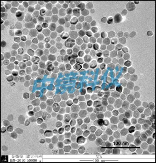 Imported omental transmission electron microscope network with 50 to 400 mesh