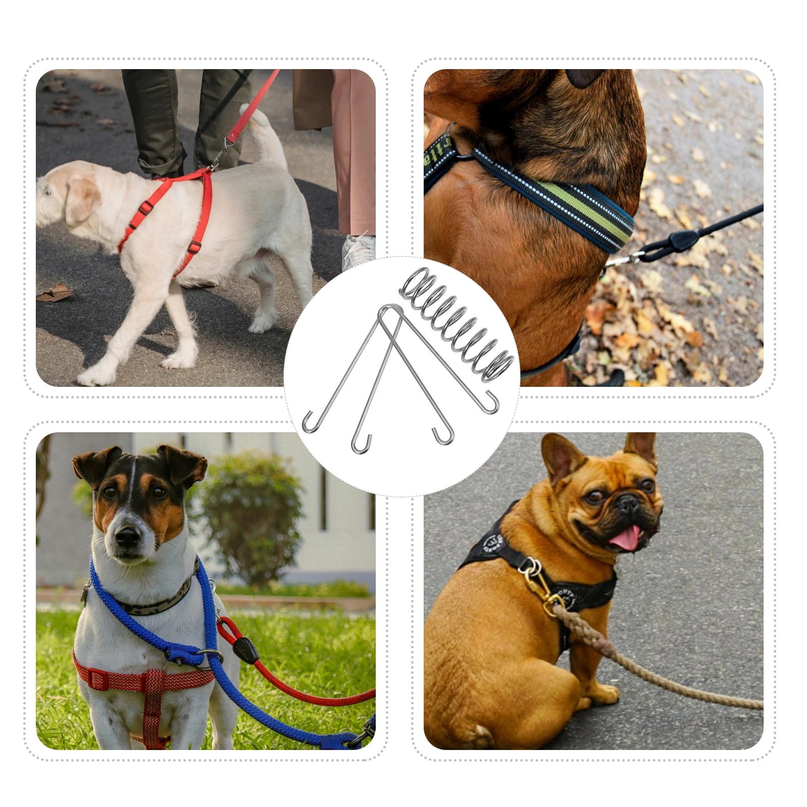 

Swimming Pool Stainless Steel Dog Chain Spring Pulling Dogs Leash Shock Absorbing