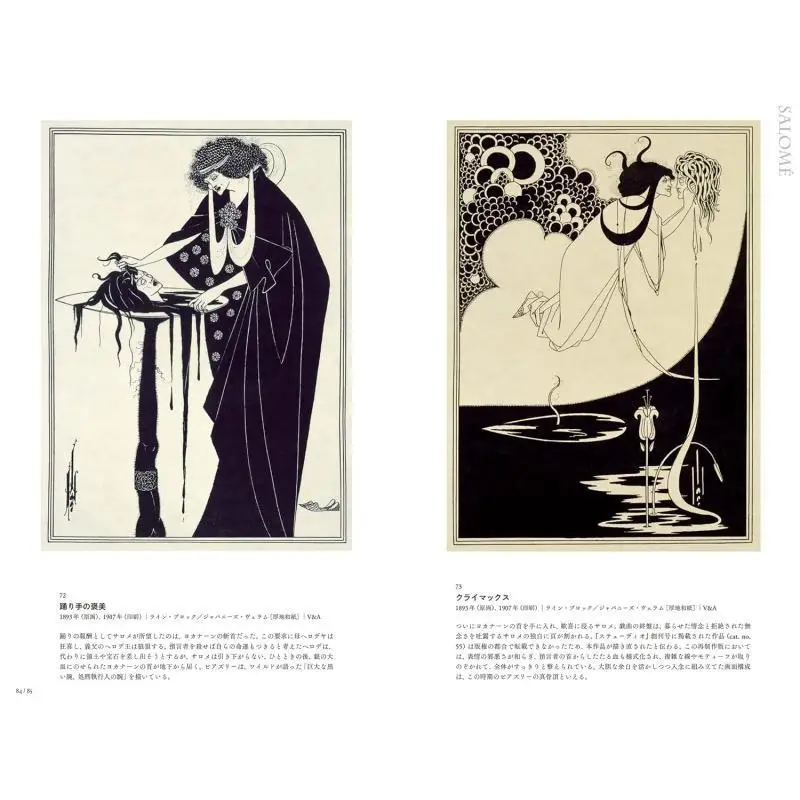 Heresy Genius Beardsley 9784861529740