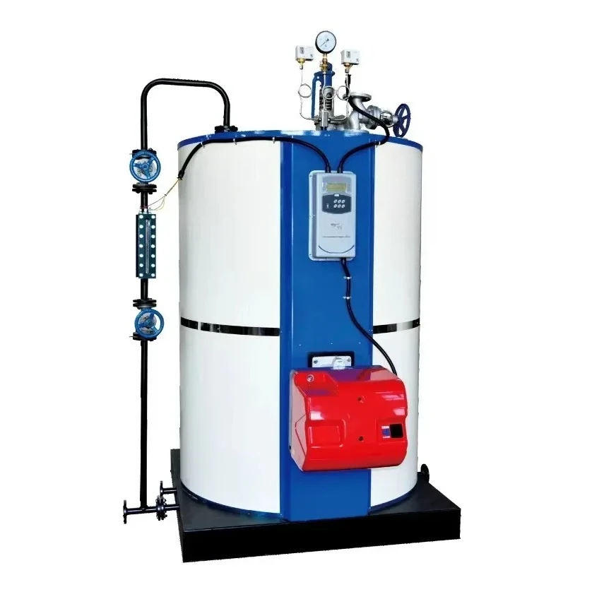 Manufacture OEM Laundry Room Small Steam Generator for Sale Steam Generator Price Ga s Fired Steam Generator for Restaurant