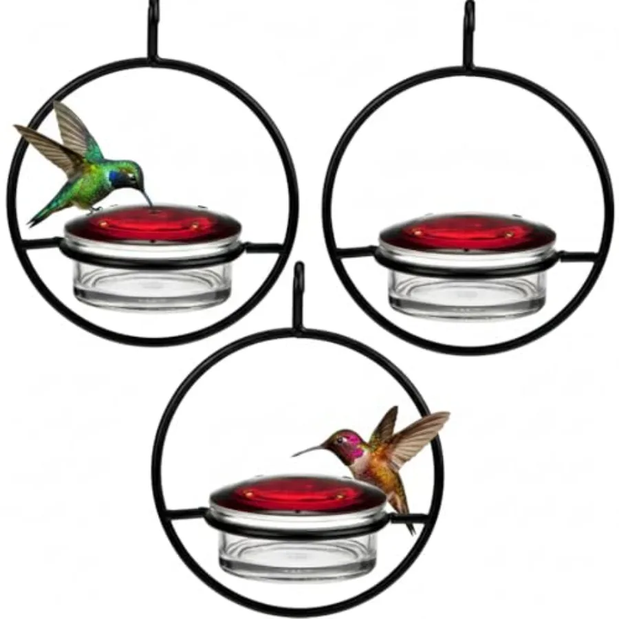 

Hummble Slim Glass Hummingbird Feeder 3.4 oz Capacity Clear Recycled Glass Hanging Feeder for Garden Pack of 3