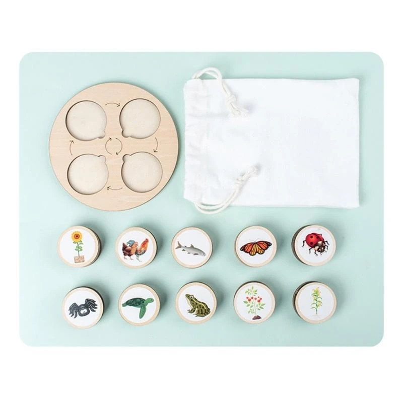 Q0KB Kids Learning Plants Animals Figure Life Cycle Sorting Toy Biology Life Growth