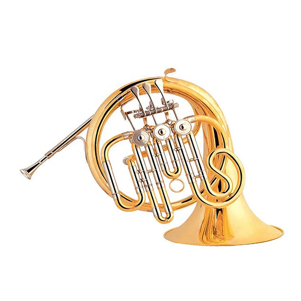 OEM 3-Key F French Horn With Gold Lacquer Finish Brass Construction For Children JYFH938