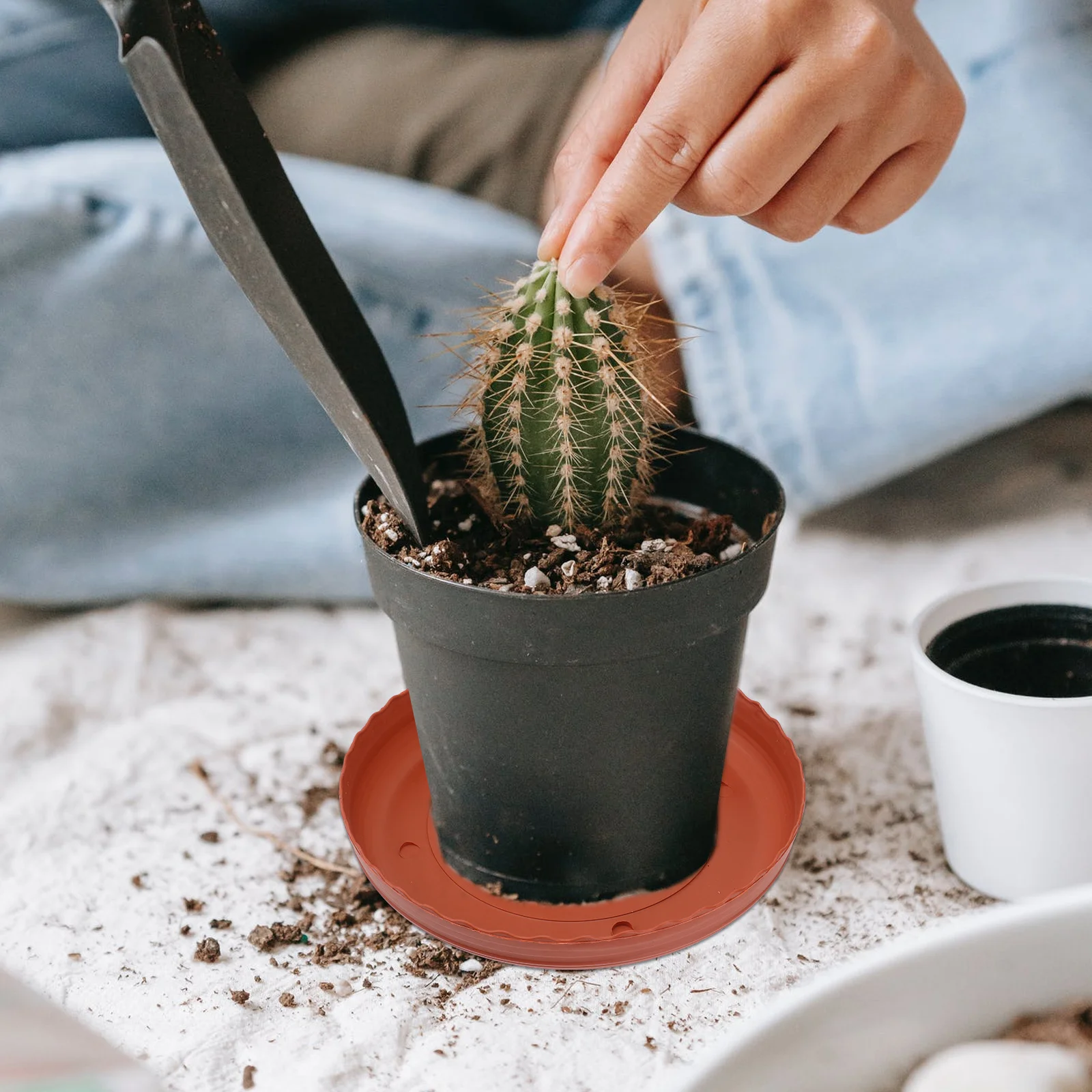 

5pcs Round Plant Tray Base Resin Drip Tray For Small Flower Pots Succulents Garden Decor Indoor Outdoor Use Chocolate 2 3 Gallon