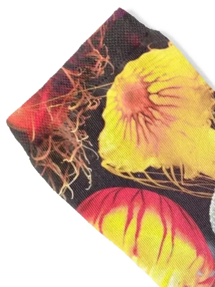 Jellyfish Socks designer brand luxe cotton christmas gifts Socks For Girls Men's