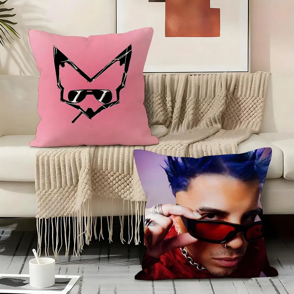 Raul A-alejandro Pillow Case Pillowcase, Double-sided Printed, Sofa Cushion, Bedroom Headboard Pillow