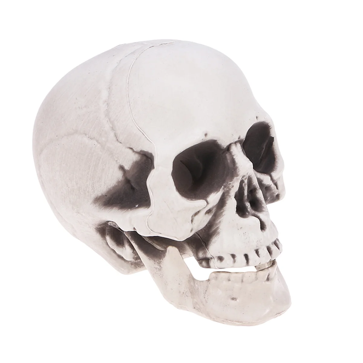 

Halloween Horror Skull Decor Textured Finish for Haunted House Party Bar Ktv Spooky Ornament