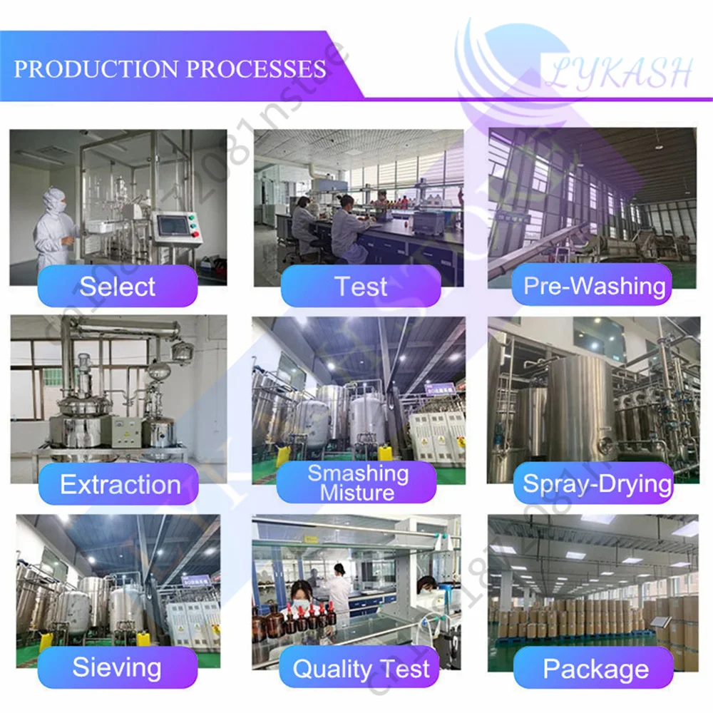 Platycladus Orientalis 30:1 Customized Powder Refillable Bags Packaging for Global Soap Production Raw Material Factories