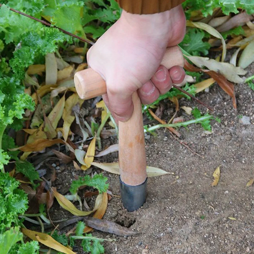 Hand Dibber Stainless Steel Seed Planter Tool With Wood Handle Hole Digger for Transplanting Plants Planting Bulb Digging