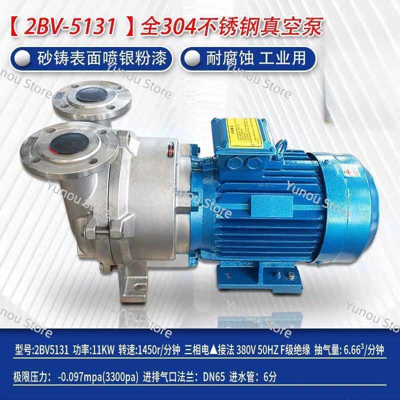 Customized Precision Casting 2BV Vacuum Pump, Stainless Steel Chemical Hospital Oilfield 304316L, Sand Casting Precision