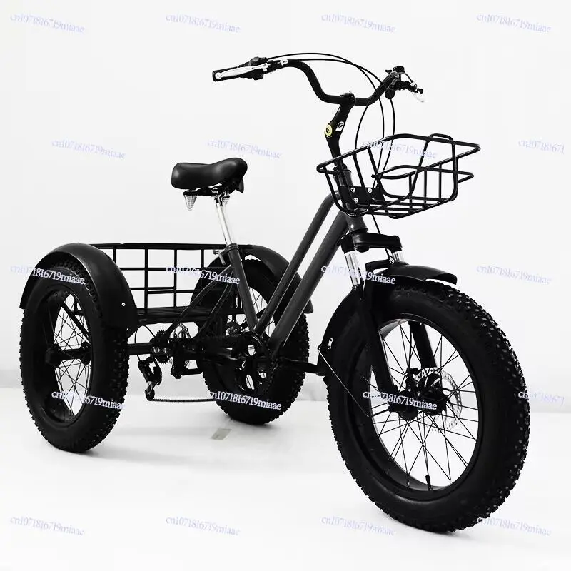 

20-24 Inch New Snow Land General Pedal Electric Variable Speed Tricycle Vegetable Basket Car Light Moped